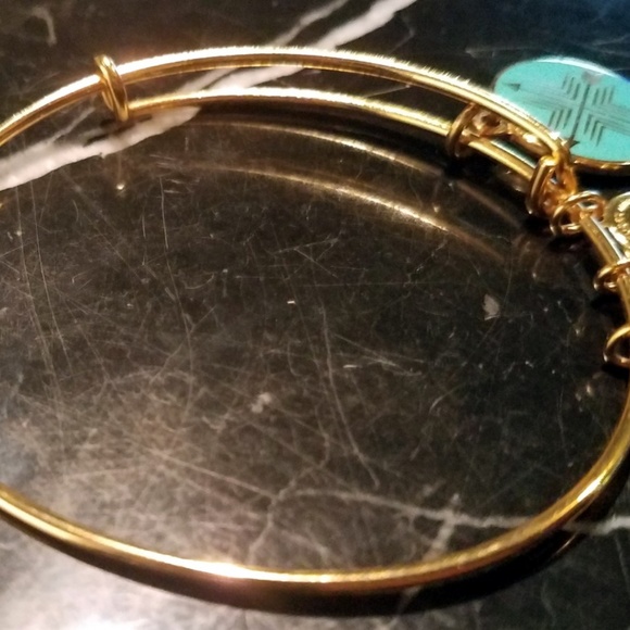 Alex and Ani Arrows of Friendship Union Bond Direc - Picture 4 of 5